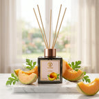 TIMSS Melone parfum de camera cu betisoare 120 ml cu note olfactive de pepene galben si mosc Parfumer.md